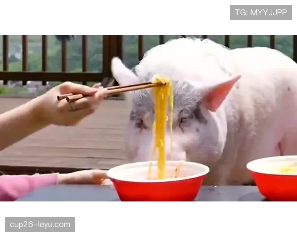 卢玉菲比赛间隙只喝自家老店的矿泉水，这待遇一般人想都别想！